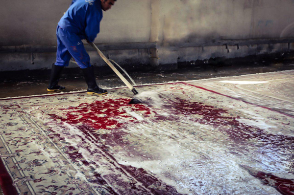 ویروس کرونا؛ از طریق شستن فرش در قالیشویی‌ها منتقل می‌شود؟